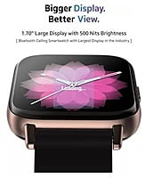TAGG Verve Connect 1.7 LCD Display with Bluetooth calling function Smartwatch  (Gold, 1.70)