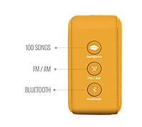 Saregama Carvaan Mini 2.0 Gurbani- Music Player with Bluetooth/FM/AM/AUX (Saffron Orange)