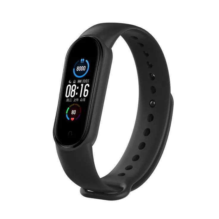 Fitness Band