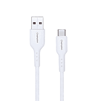 Champion 2.4Amp 2 Core Charging PVC Cable - Compatible with Power Bank ,Headphones ,Neckband and Other USB Devices (30CM )