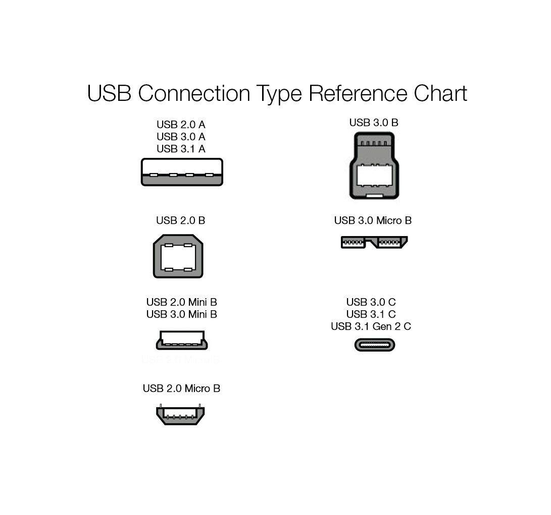 Champion 3-in-1 USB Fast Charging Cable Type C, Lightning, Micro USB, Compatible with iPhone, iPad, Samsung, OnePlus, Mi, Oppo, Vivo, Xiaomi